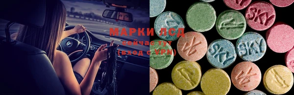 СК Абинск