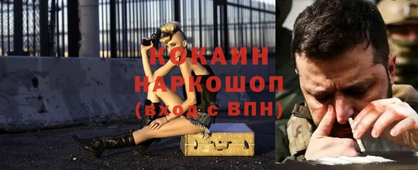 винт Гусь-Хрустальный