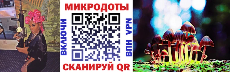 Псилоцибиновые грибы Cubensis  купить наркоту  Гусиноозёрск 