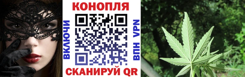 Конопля тримм  omg   Гусиноозёрск 